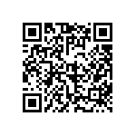 FW-04-02-F-D-250-065 QRCode