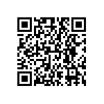 FW-04-04-L-D-300-100 QRCode