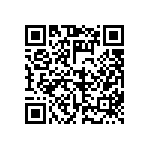 FW-13-02-G-D-411-065 QRCode