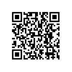 FW-13-04-G-D-300-100 QRCode