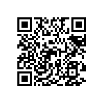 FW-13-04-G-D-538-075-ES QRCode