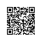 FW-17-04-G-D-300-100 QRCode