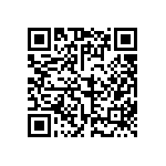 FW-24-03-G-D-221-065 QRCode