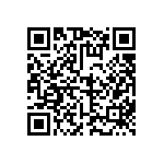 FW-29-01-L-D-413-065 QRCode