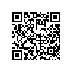 FW-31-04-F-D-250-065 QRCode