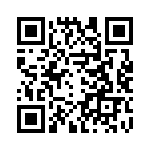 H410705A0000G QRCode