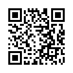 H50910510000G QRCode