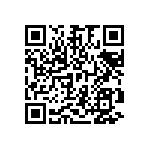 HE30800T2529PA6M QRCode