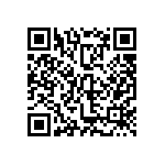 IVS3-3E0-3E0-3E0-3E0-E0-A QRCode