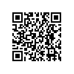 JW-17-04-T-S-250-250 QRCode