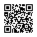 KE381251A000G QRCode