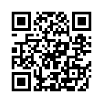 KJL6T21B41PAL QRCode