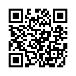 L-14C13NKV4T QRCode