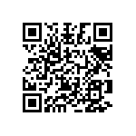 L17DM537415001 QRCode