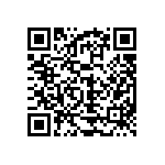 L2C2-30801204E1300 QRCode