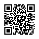 LDIN30 QRCode