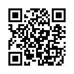 LR1F13K QRCode