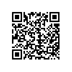 M55342H01B10E0RT5 QRCode