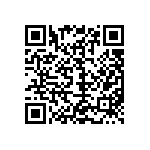 M55342H04B1E00RT5 QRCode