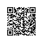 M55342H04B4B02RWS QRCode