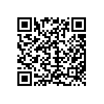 M55342H04B4E22RWS QRCode