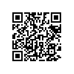 M55342H06B1K20RWS QRCode