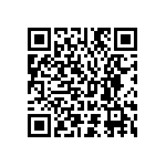 M55342K02B100APWS QRCode