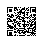 M55342K03B39K2RT0V QRCode