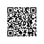 M55342K04B169ARWS QRCode