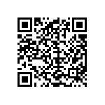 M55342K04B221ERT5V QRCode