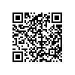 M55342K04B9E31RWSV QRCode