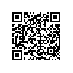 M55342K06B100DPT5V QRCode