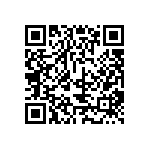 MP22T1-C24-5080-VSM-1-00 QRCode