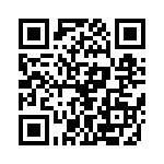 P-420-38102 QRCode