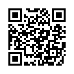 P0250-333NLT QRCode