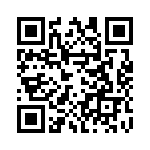 P0300EAL QRCode