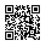 P0300EB QRCode