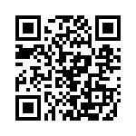 P4KE130 QRCode