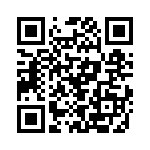 P4KE170A-G QRCode