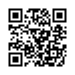 P4KE27A-B QRCode