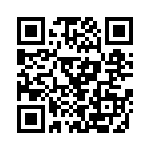 P4KE33C-B QRCode