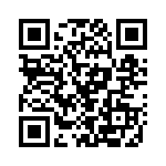 P4KE43A QRCode