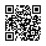 P4KE480C-B QRCode