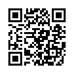 P4KE51HE3-54 QRCode