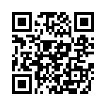 P4KE8-2-B QRCode