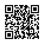 P6KE100A-B QRCode