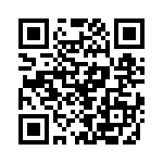 P6KE130C-B QRCode