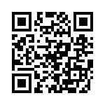 P6KE300A-B0G QRCode