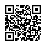 P6KE300C-B QRCode