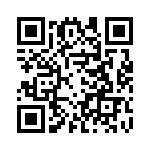 P95020ZANQG8 QRCode